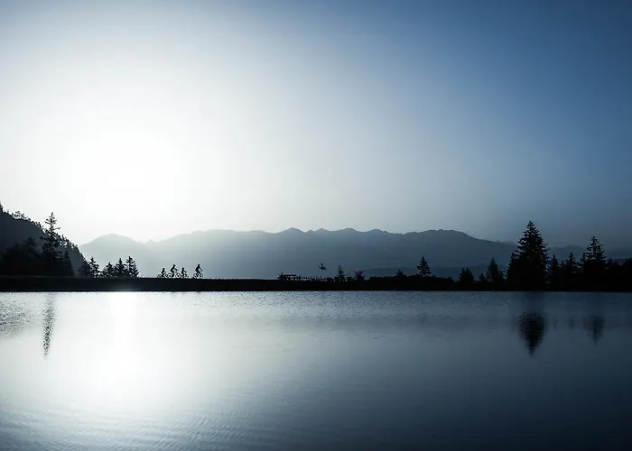 Evashome דירה ניוסטיפט אים סטובאיטל