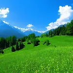 Evashome